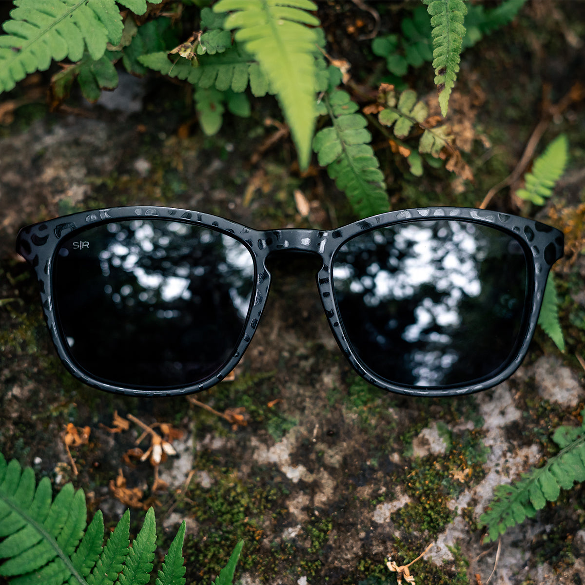 Cypress - Black Leopard Polarized - Image 6