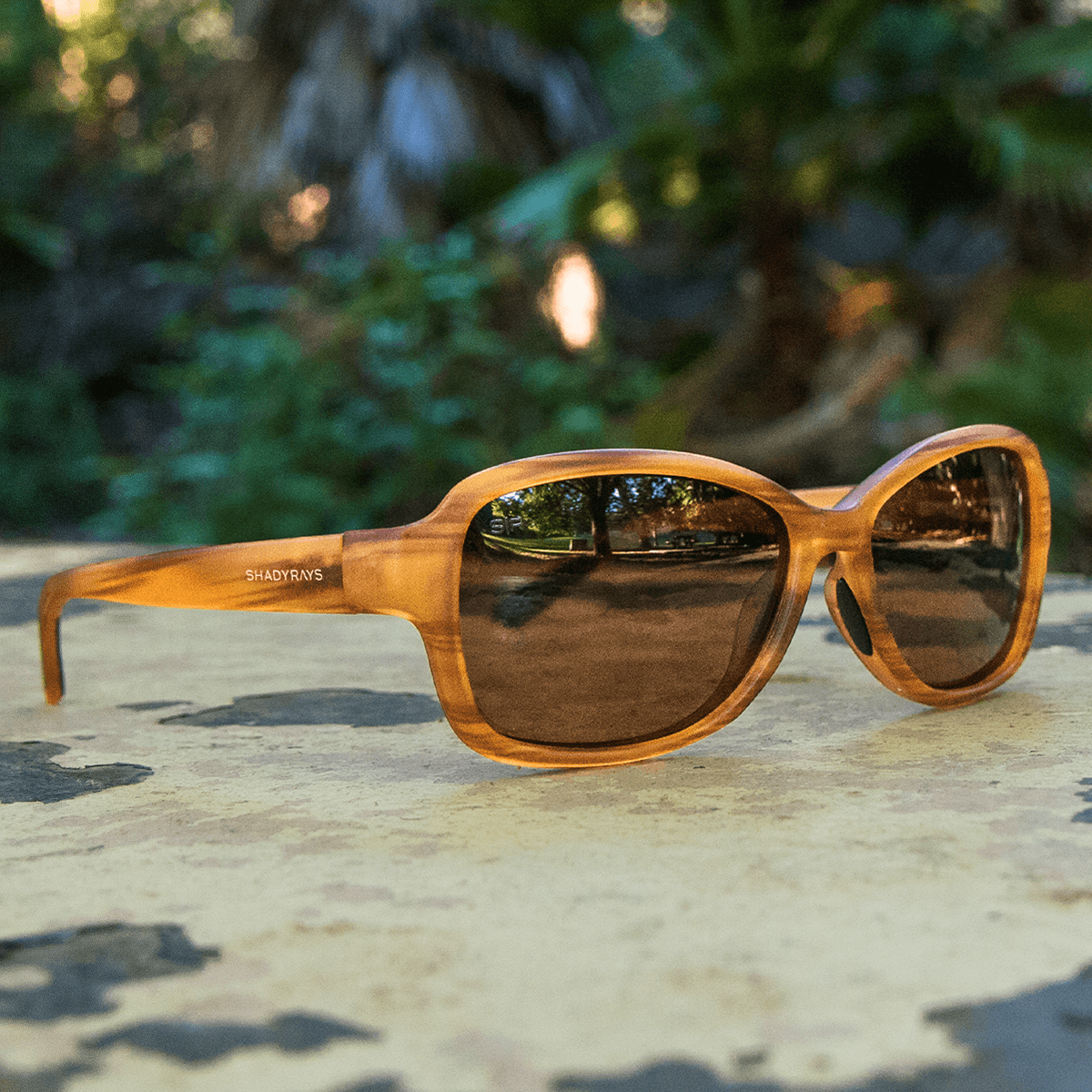 Magnolia - Honey Polarized - Image 6