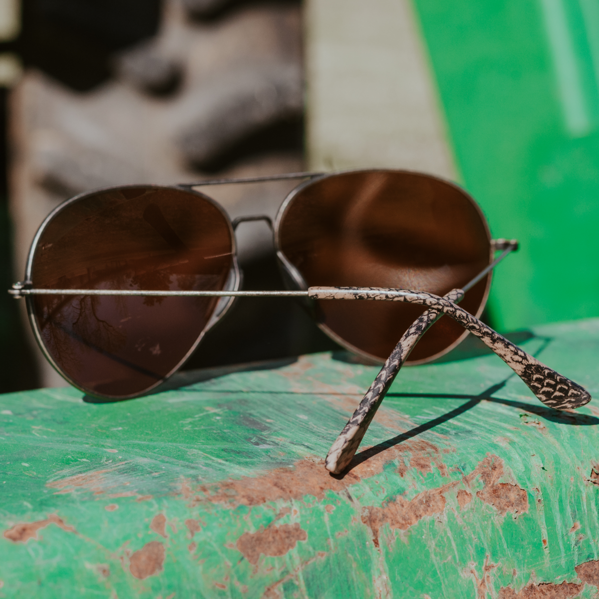 Tangle Free Aviator - Snakeskin Polarized - Image 7