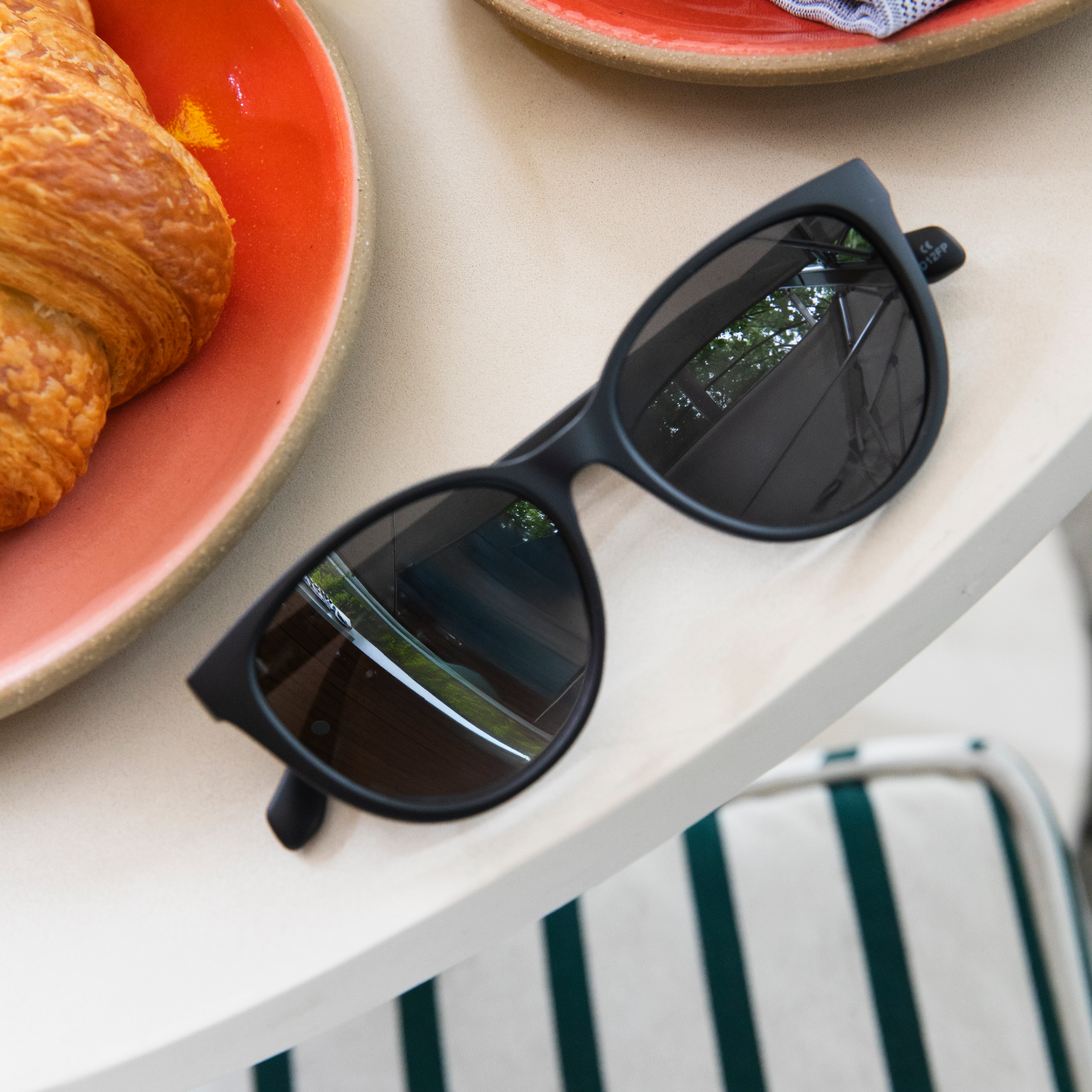 Paloma - Blackout Polarized - Image 5