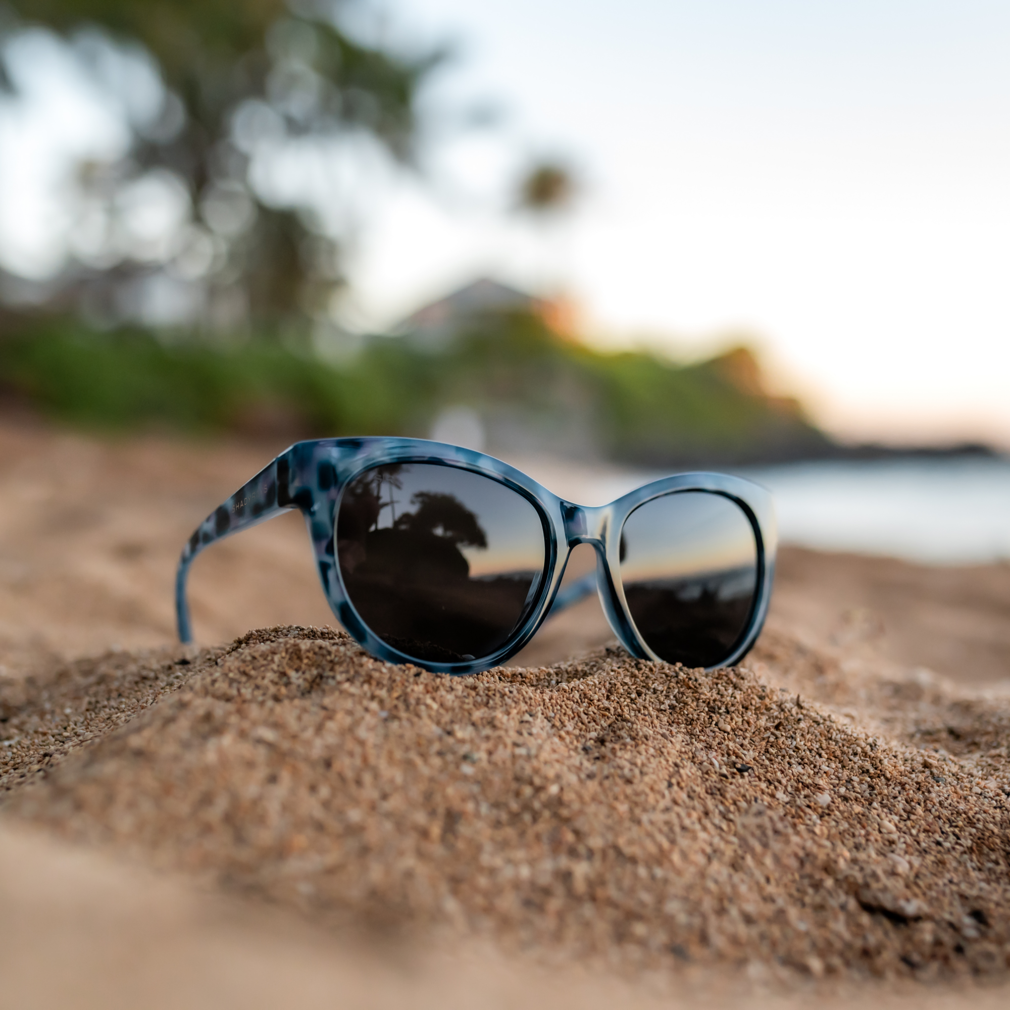 Lynx - Deep Quartz Polarized - Image 4